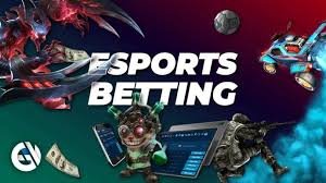 677bet
